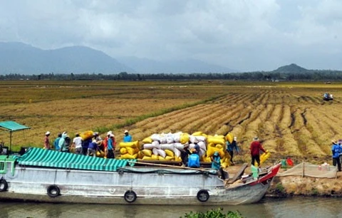 Mekong provinces link up on water management