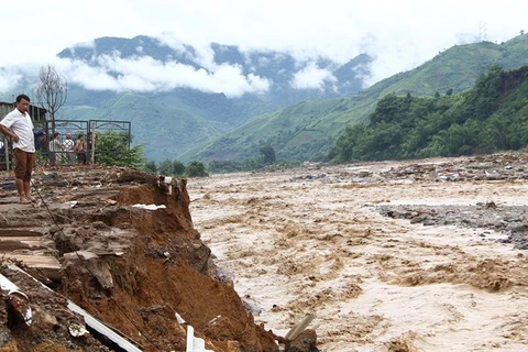  Experts: Deforestation worsening natural-disaster risks