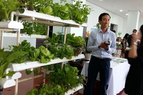 Da Nang calls for hi-tech farms