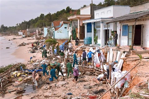 Binh Thuan: 11 houses collapse due to coastal erosion