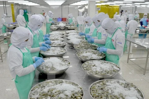 Switzerland imports over 50 percent shrimp from Vietnam