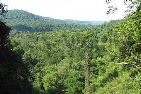 EU finances Cambodia’s forest protection project