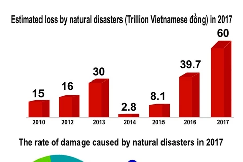 2017 plagued by devestating natural disasters