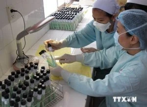 HCM City plans additional testing for TB