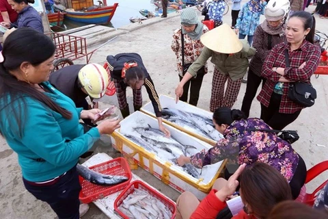 Kien Giang moves to fight illegal fishing 
