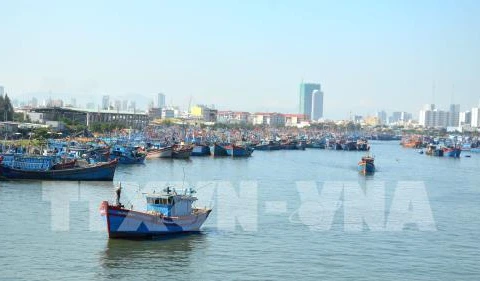 Thanh Hoa works to combat IUU fishing