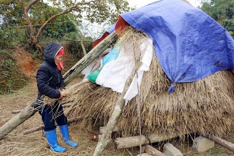 Cold weather hits northern provinces