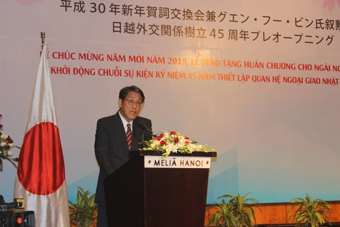 Celebrations of Vietnam-Japan diplomatic ties launched