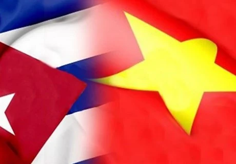 Vietnam keen on fostering traditional solidarity with Cuba: VUFO