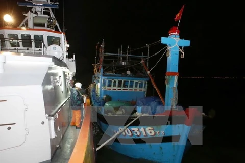 Foreign sailors rescued in Ba Ria-Vung Tau waters