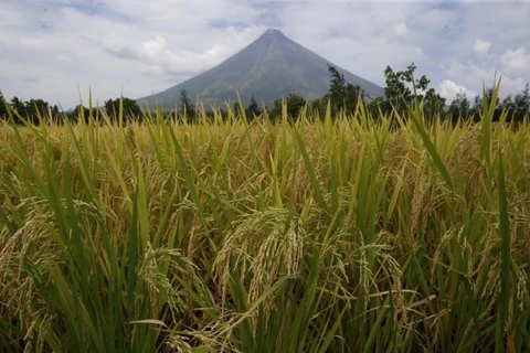 Philippines raises volcano alert level