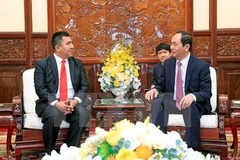 President welcomes new foreign ambassadors to Vietnam