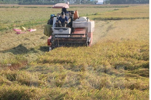 Thousands of Khmer households escape from poverty