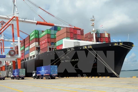 Thi Vai international port begins operation