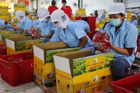 Post harvest losses hinder Vietnam’s exports