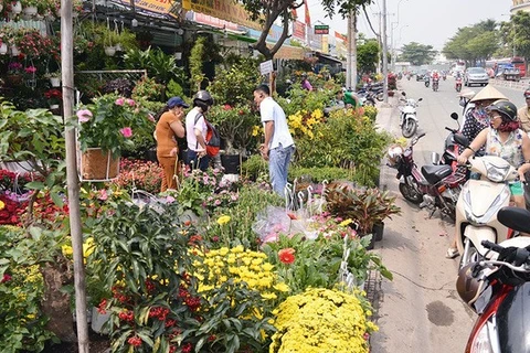 High rentals likely to push up Tet flower prices