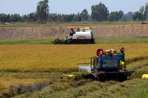 Mekong Delta seeks to turn agriculture challenges into opportunities