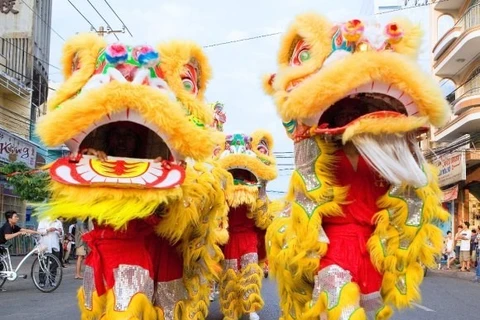 Can Tho: fourth national lion dragon dance champs opens
