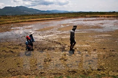 Netherlands to help Vietnam in water management 