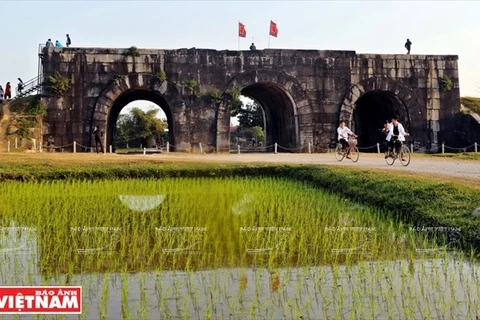 Ho Dynasty Citadel opens for free during Tet