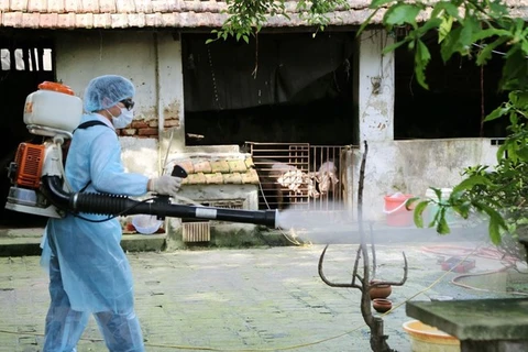 UK helps Vietnam forecast dengue fever epidemic