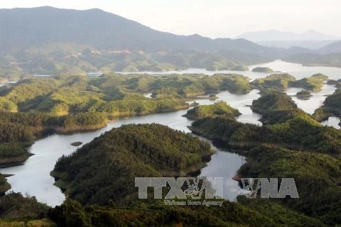 Ta Dung Nature Reserve becomes National Park