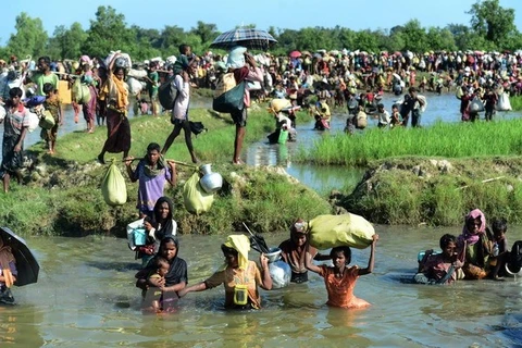 Bangladesh works with UN to repatriate Rohingya people