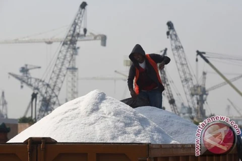 Indonesia likely to stop salt import in 2020