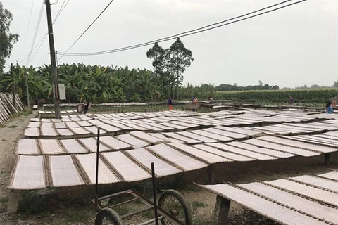 Rice paper village keeps ancient craft alive