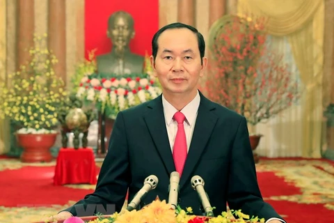 President Tran Dai Quang wishes Vietnamese a prosperous New Year