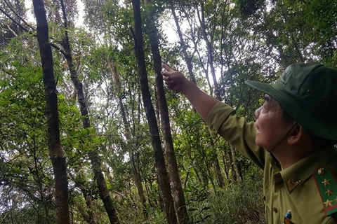 National park guide talks to the birds