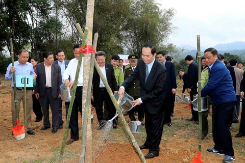 President launches New Year tree planting festival
