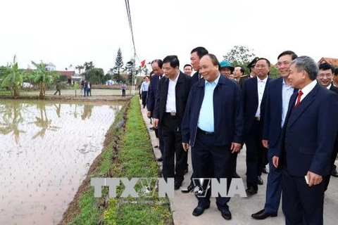 Prime Minister visits farmers in Nam Dinh