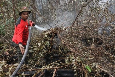 Indonesia declares emergency following forest fire 