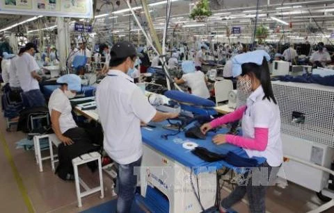 Over 96 percent of workers in Da Nang return to work after Tet
