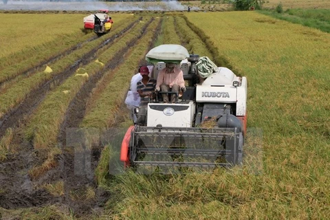 Winter-Spring crops start nationwide