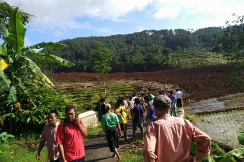 Indonesia: 11 missing in Central Java landslide