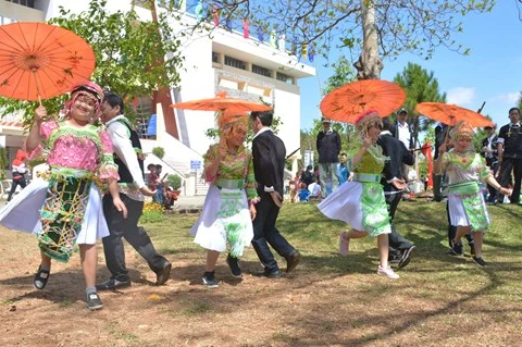 Over 100 artisans join Gia Lai ethnic festival 