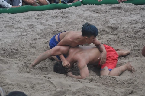 Thua Thien-Hue holds wrestling bout to warm up new year