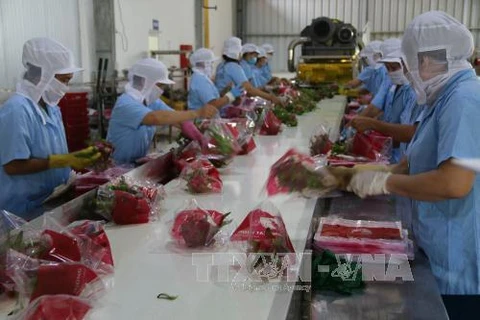 Agro-forestry-fishery exports exceed 6 bln USD in first two months