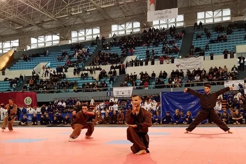 Vietnamese martial arts league makes debut in Algeria