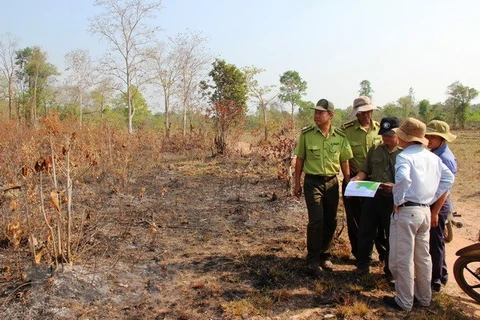 Binh Thuan faces high risk of forest fires