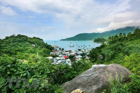 Quang Nam reviews tourism projects on Cham Island