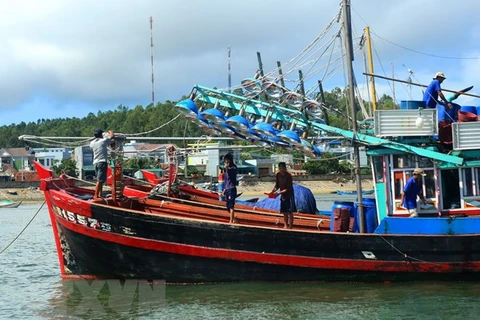 Phu Yen takes urgent measures against illegal fishing