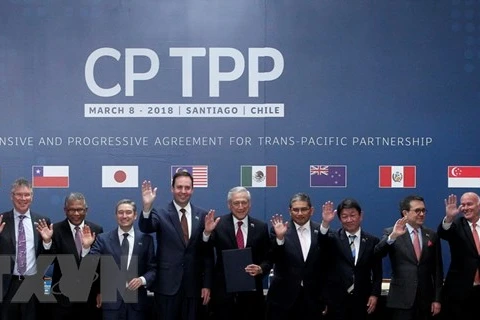 Domestic businesses expect positive impacts by CPTPP