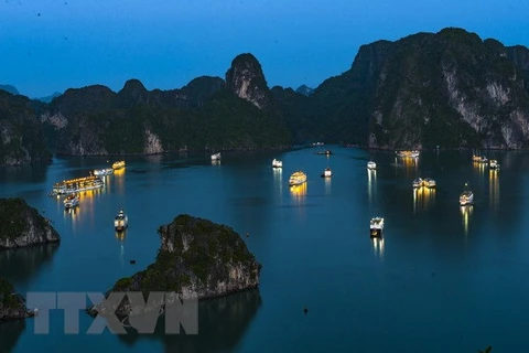 Businesses urged to protect Ha Long Bay