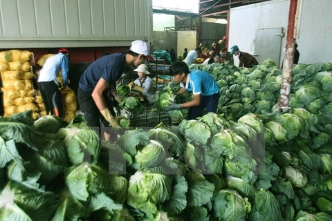 Vietnam targets 4.5 billion USD from farm produce exports by 2020