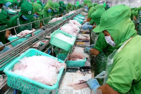 US antidumping duties on Vietnam’s frozen fish fillets unfair: Ministry