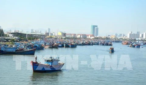 Kien Giang moves to support local fishermen