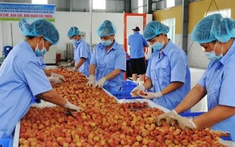Cultivation law promotes farm produce’s competitiveness